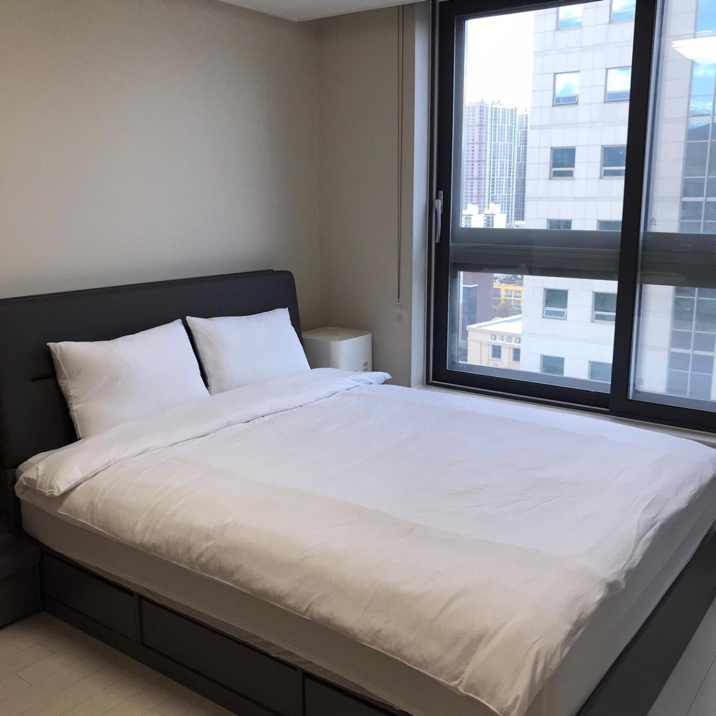 Tempus Urban Daegu